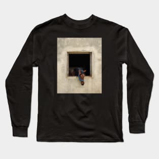 Horse in a Stable Long Sleeve T-Shirt